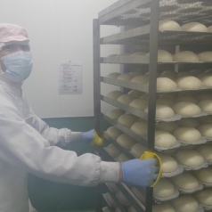 道の駅あぐり窪川自社加工工場　具だくさん豚まん製造の様子