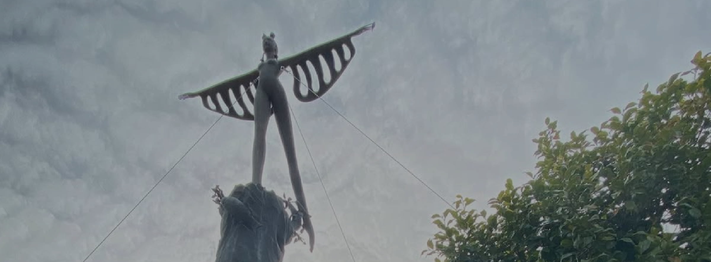 観光案内の背景