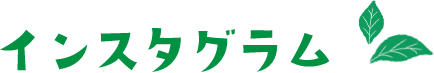 インスタグラム投稿