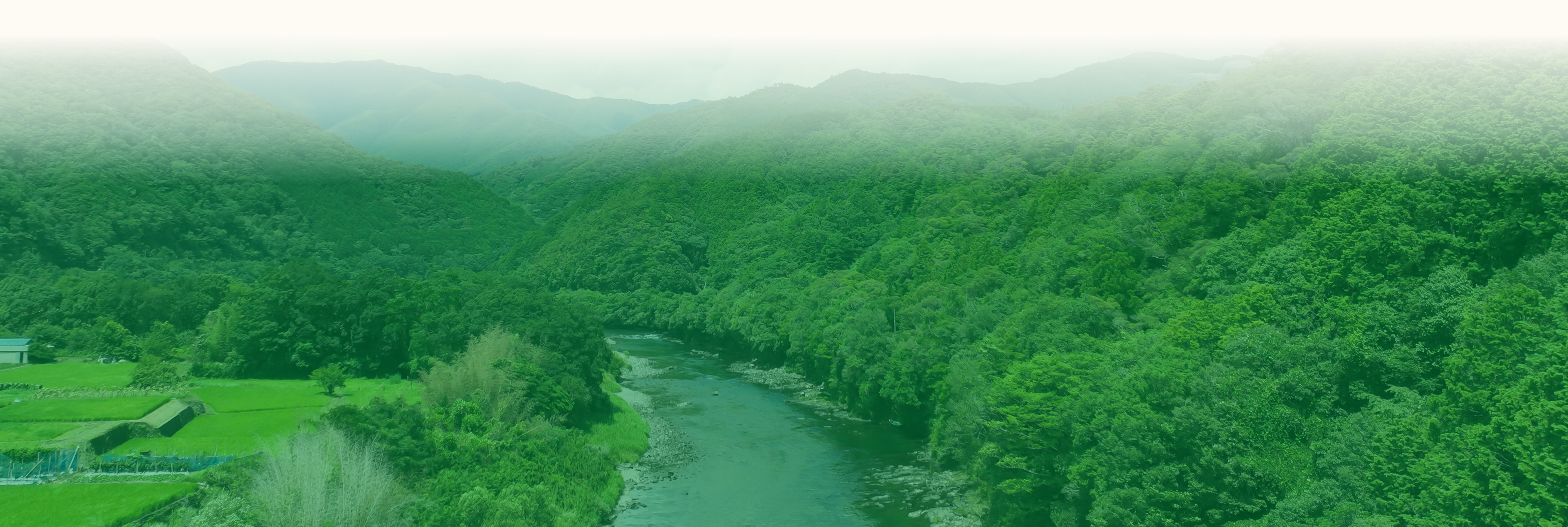 ピックアップ背景